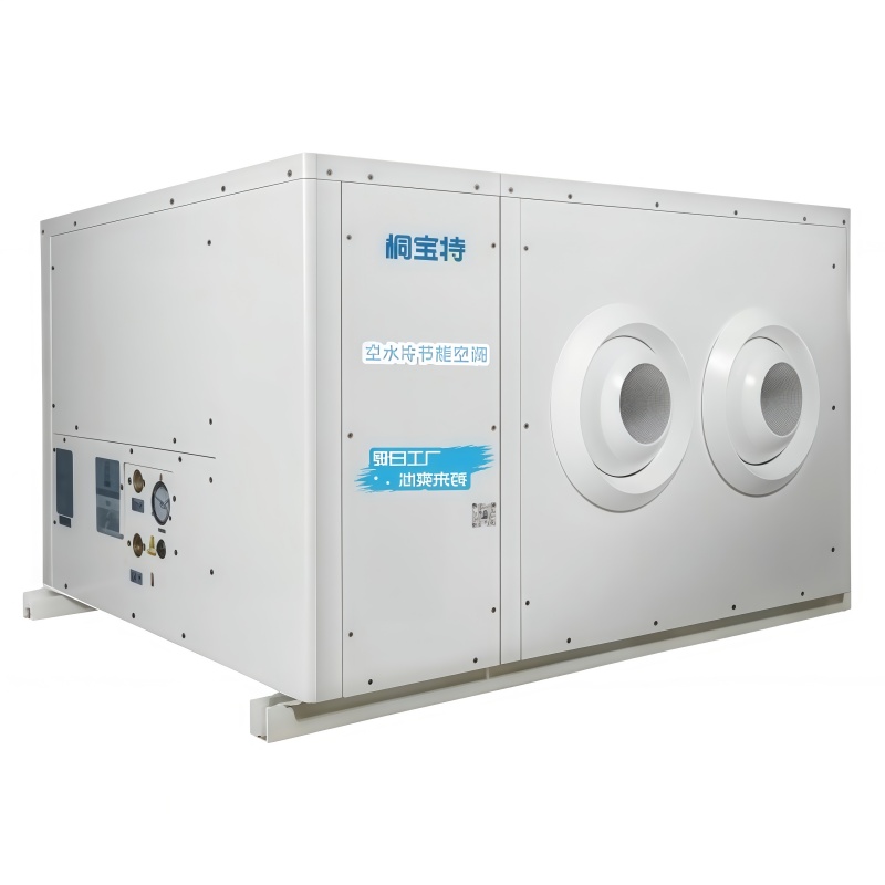 Efficiente condizionatore d'aria industriale a risparmio energetico Efficiente condizionatore d'aria industriale a risparmio energetico
